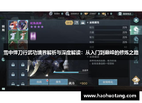 雪中悍刀行武功境界解析与深度解读：从入门到巅峰的修炼之路